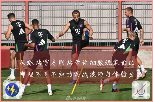买球站官方网站带你细数玩家们的那些不可不知的实战技巧与体验分享